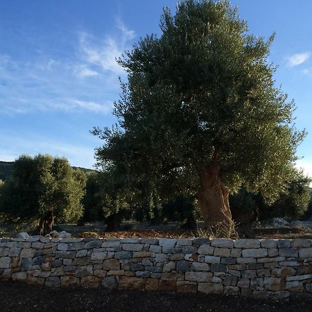 Masseria Capece Пецце ди Греко Екстериор снимка