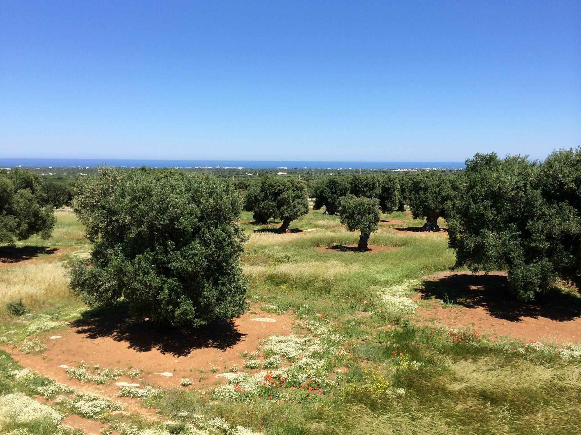 Masseria Capece Пецце ди Греко Екстериор снимка