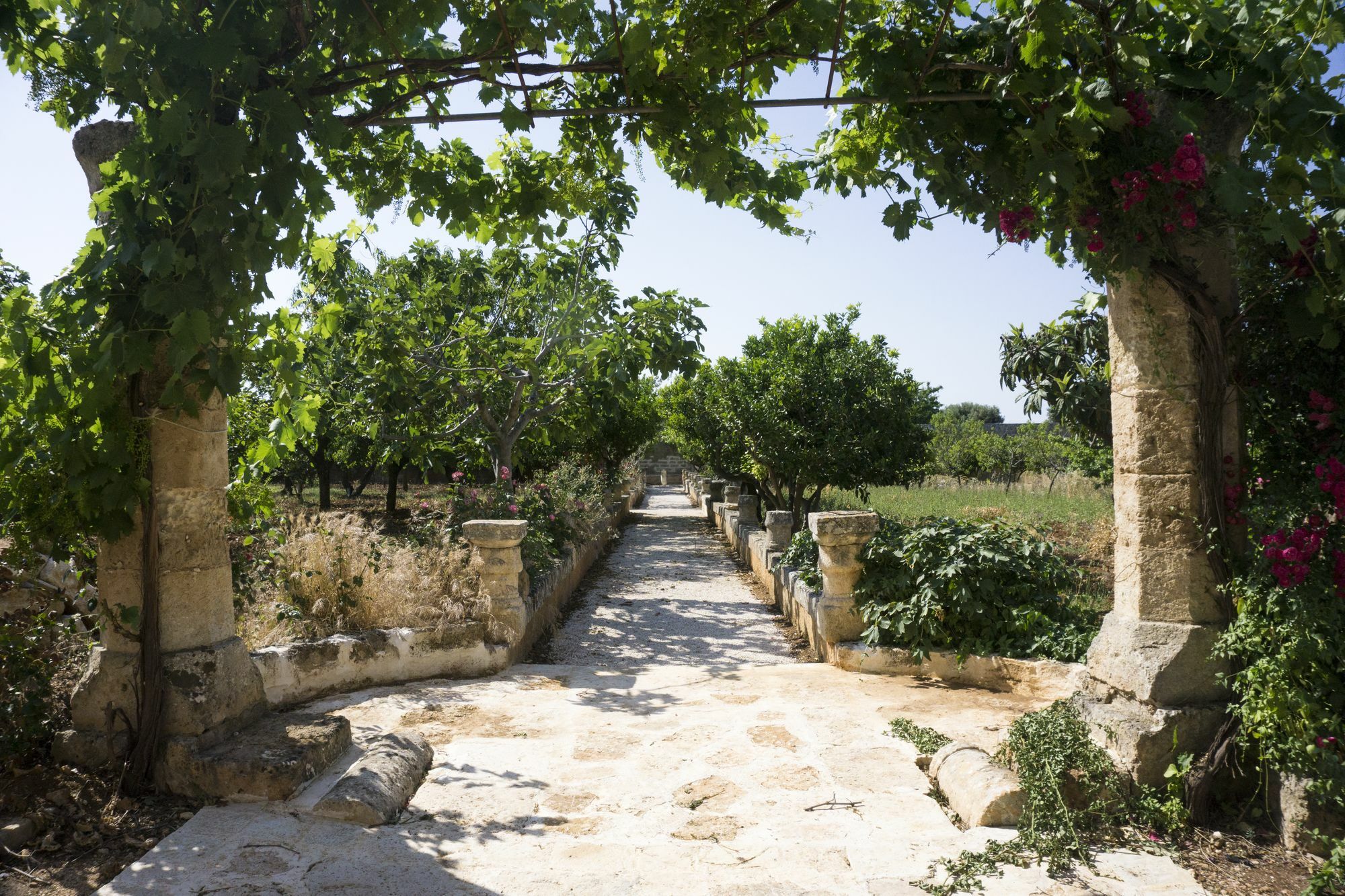 Masseria Capece Пецце ди Греко Екстериор снимка